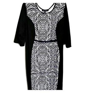 Dress zebra print